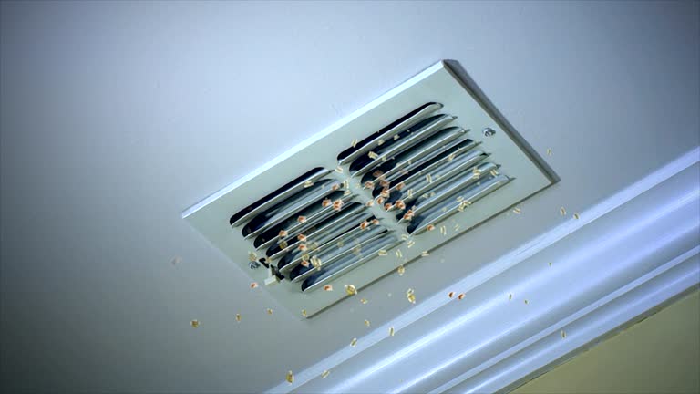 Best Affordable HVAC Duct Cleaning  in Shinnston, WV