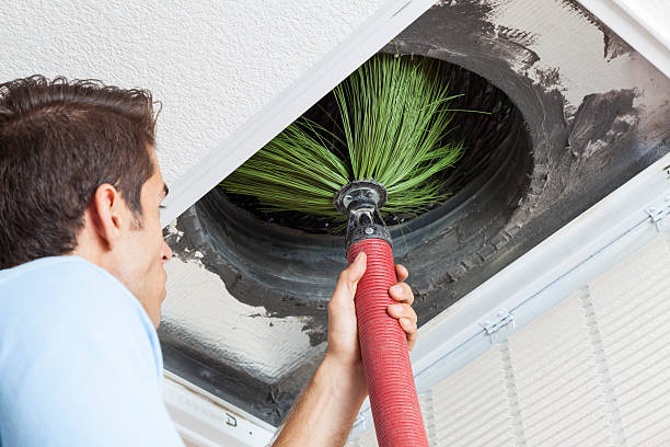 Best Affordable Duct Cleaning Services  in Shinnston, WV